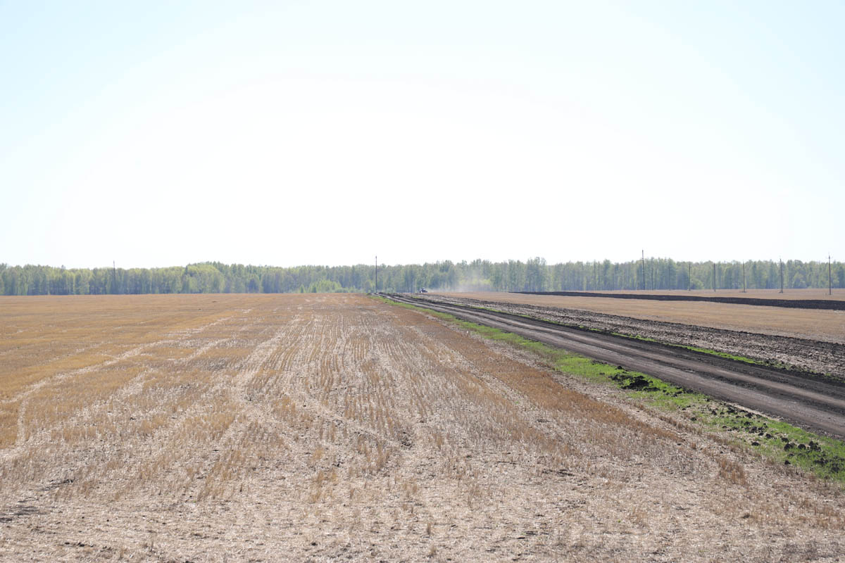 Деревня земляная голышмановский район. Погода земляная голышмановский. Тюменская область голышмановский район д земляная. Земляная голышмановский район. Погода земляная голышмановский.