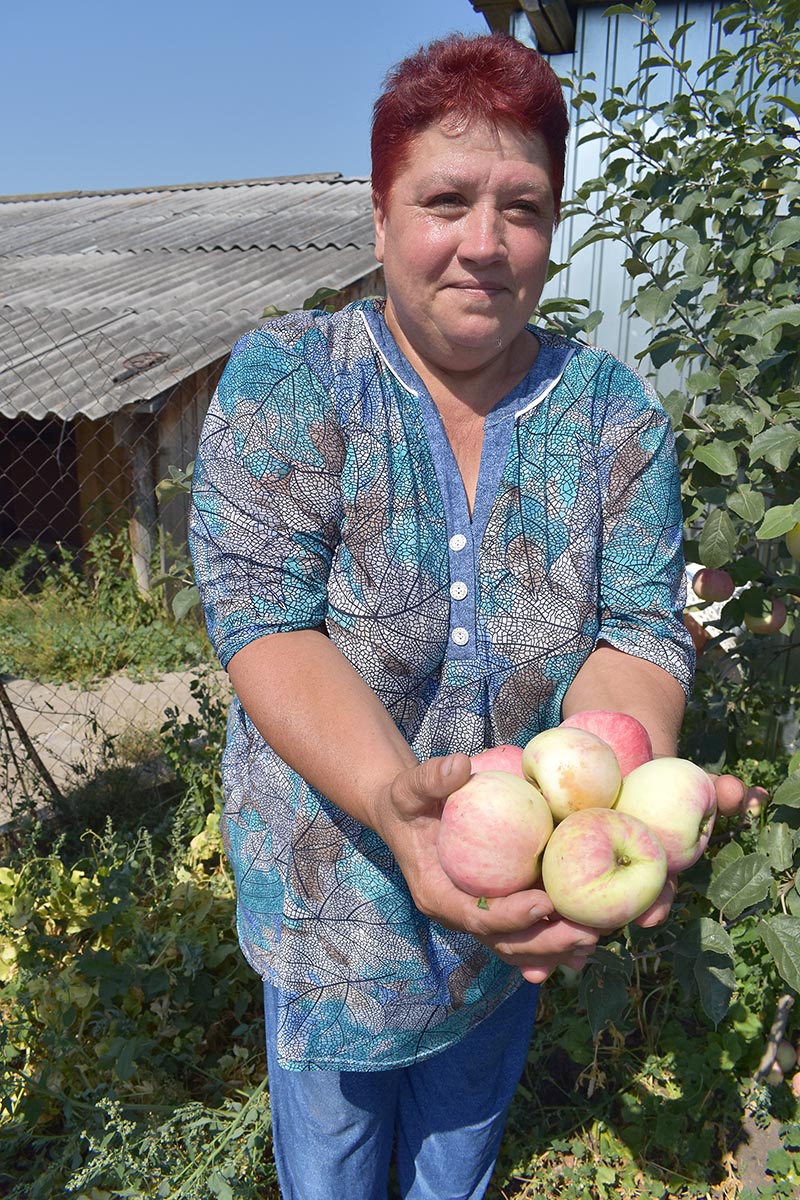 Конкурс «Ветеранское подворье» | 28.08.2020 | Голышманово - БезФормата