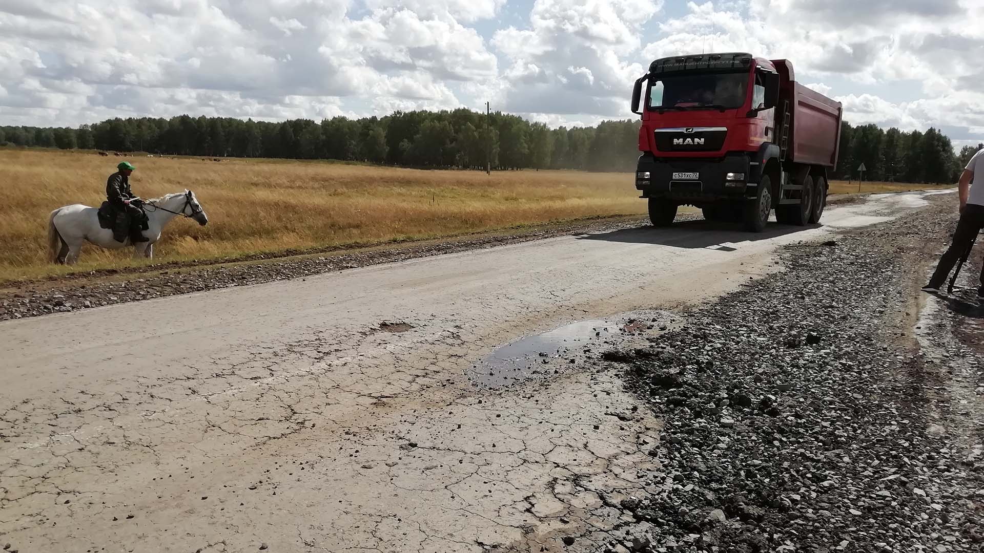 Мошков голышманово Мошков голышманово