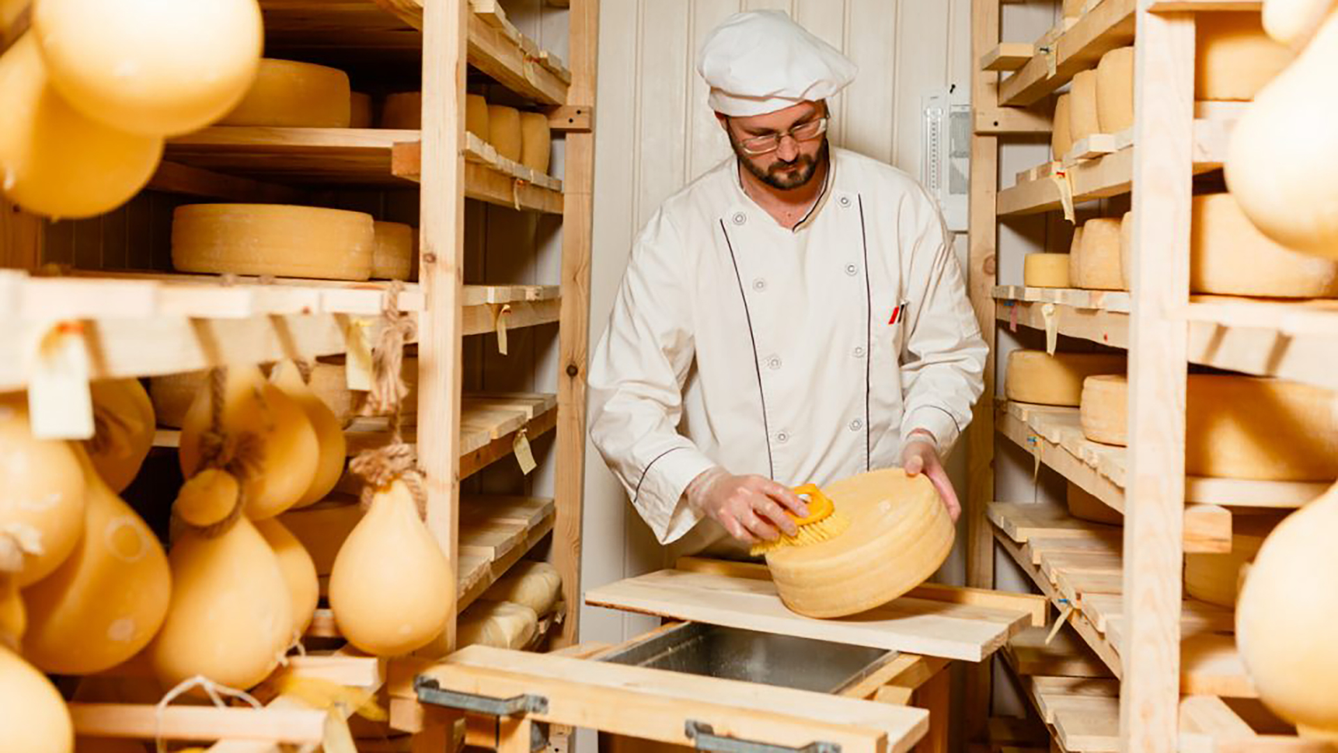 Сайты производителей сыра. Сыроварня завод в Италии. Сырный цех.
