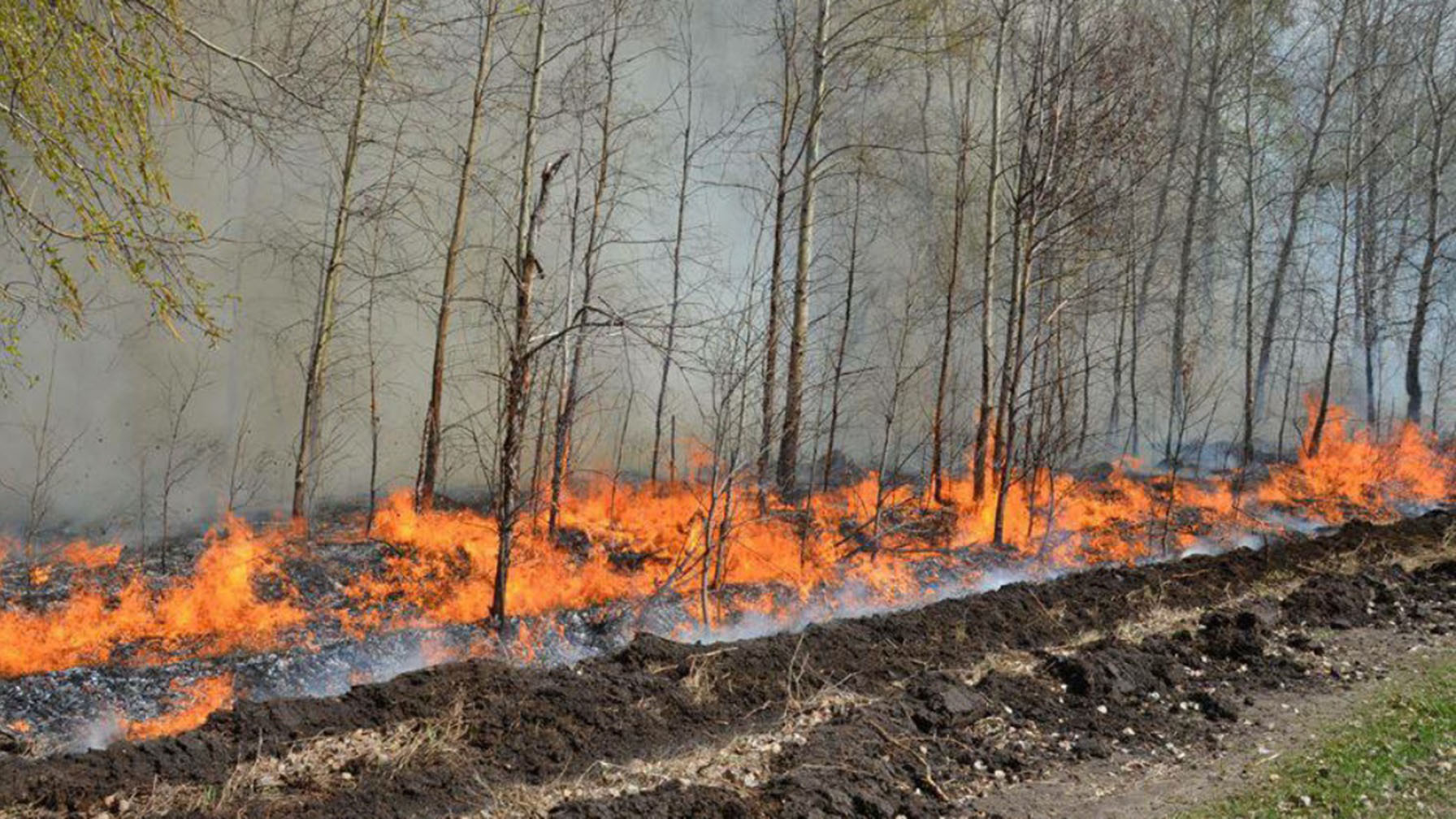Лесные пожары Тюмень 2021