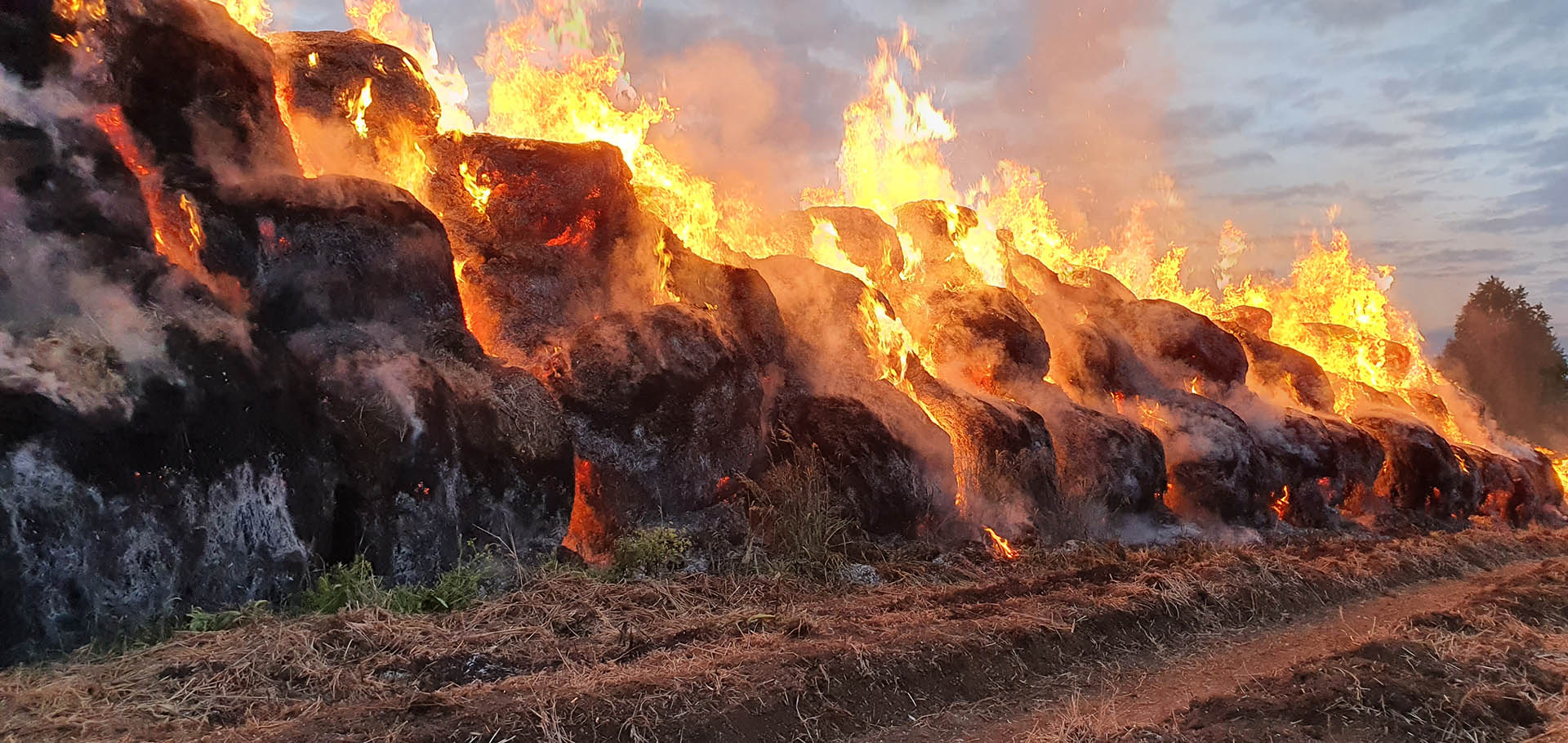 В Голышмановском городском округе всё чаще горит сено | 13.09.2021 |  Голышманово - БезФормата