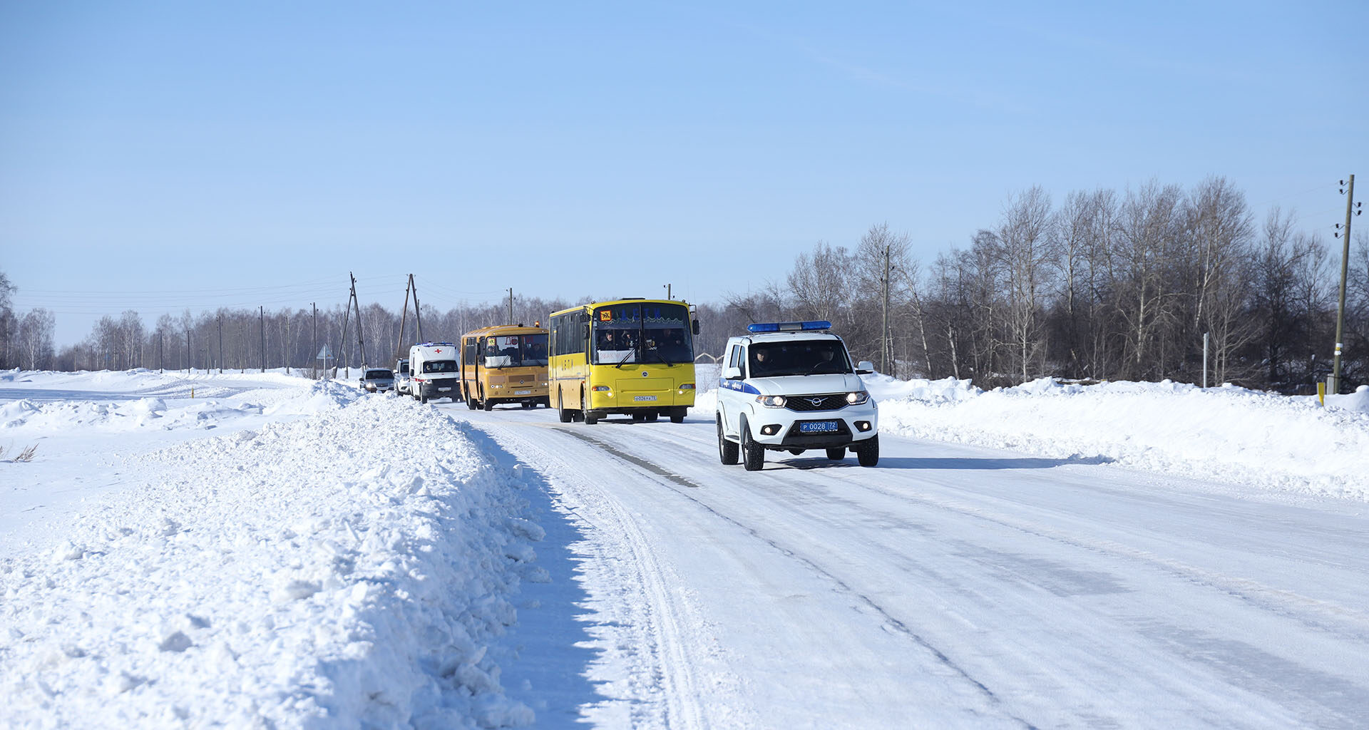 Угроза: лесной пожар у деревни Быстрой | 04.03.2024 | Голышманово -  БезФормата